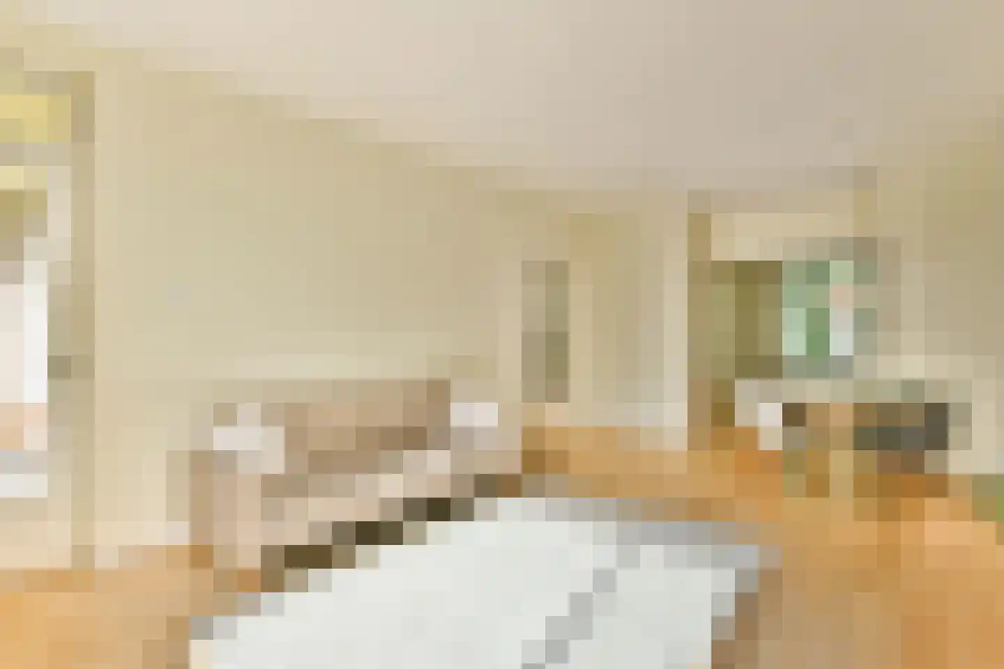 Avogadrostraat 4 3 Amsterdam thumbnail 5