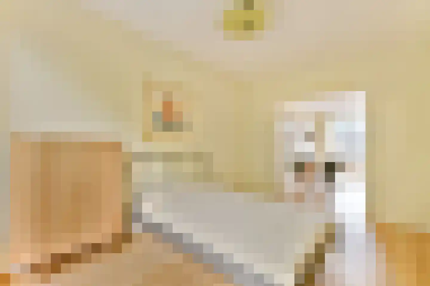 Avogadrostraat 4 3 Amsterdam thumbnail 9