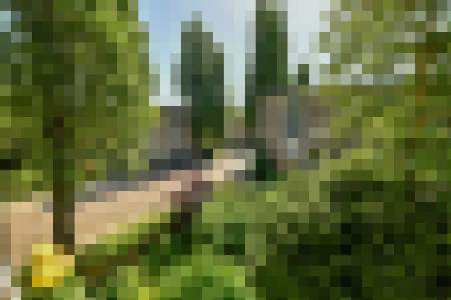 Avogadrostraat 5 2 Amsterdam thumbnail 8