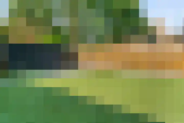 Avondgaarde 12 Nieuwegein thumbnail 37