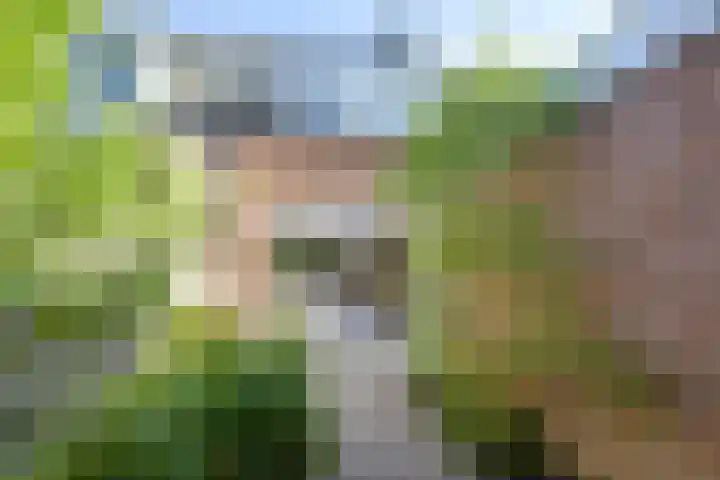 Avondgaarde 41 Nieuwegein thumbnail 16