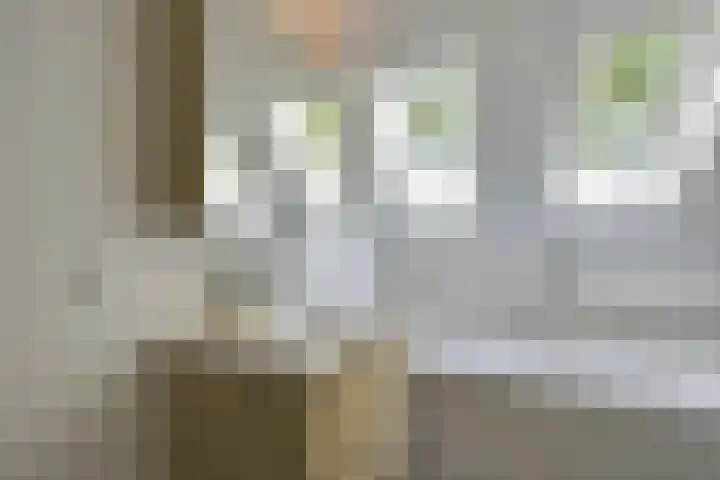 Avondgaarde 41 Nieuwegein thumbnail 21