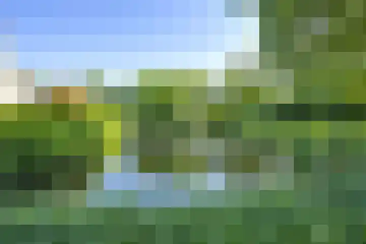 Avondgaarde 41 Nieuwegein thumbnail 36