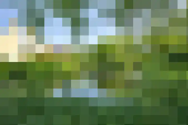 Avondgaarde 41 Nieuwegein thumbnail 37