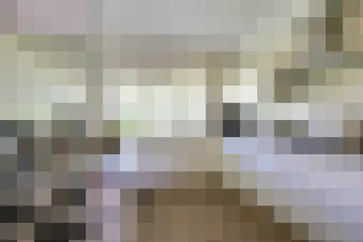 Avondgaarde 41 Nieuwegein thumbnail 8