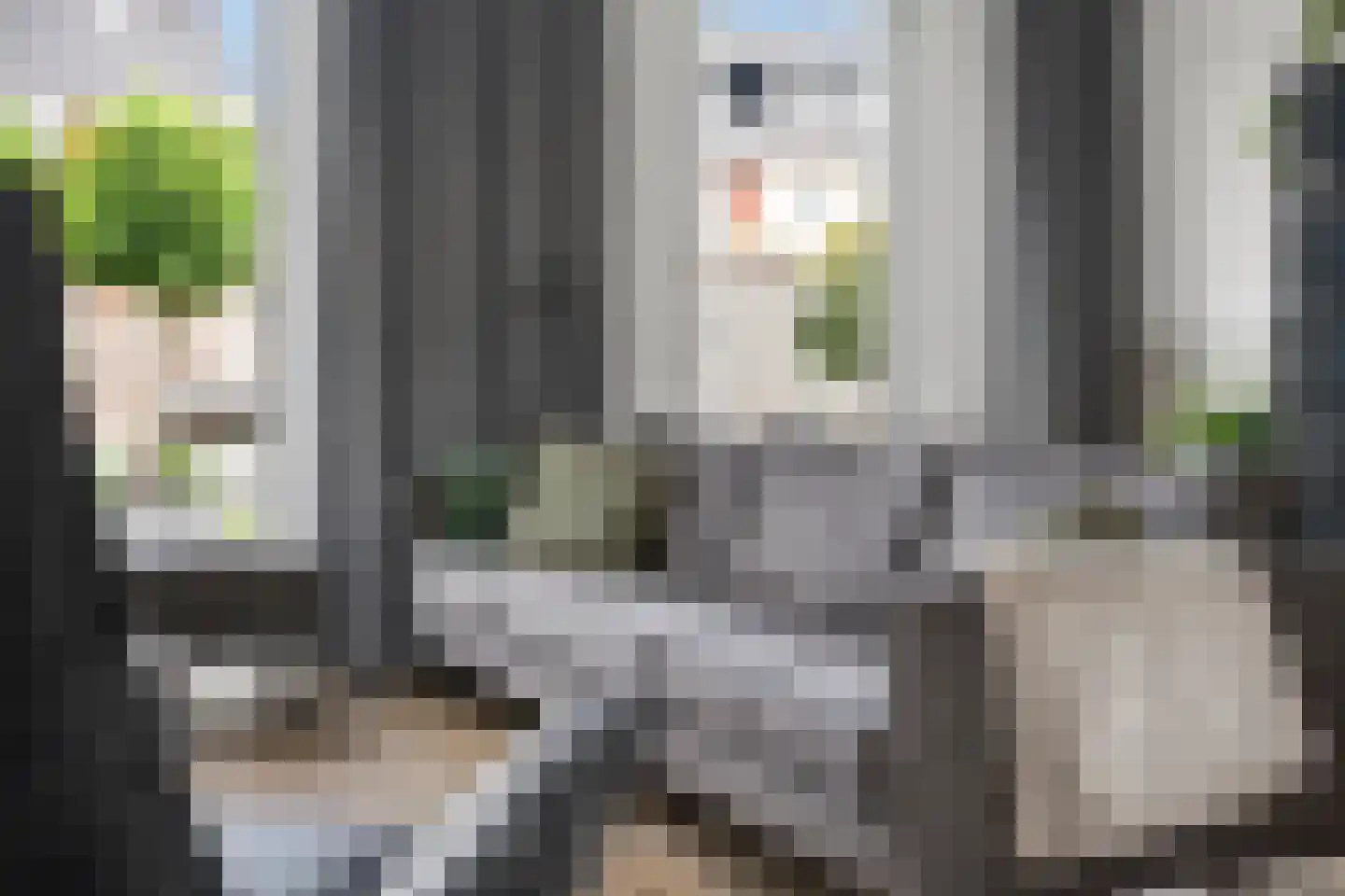 Avondlicht 25 Arnhem thumbnail 10