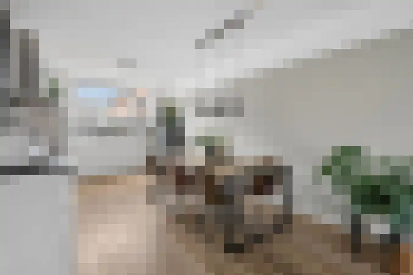 Avondlicht 25 Arnhem thumbnail 14