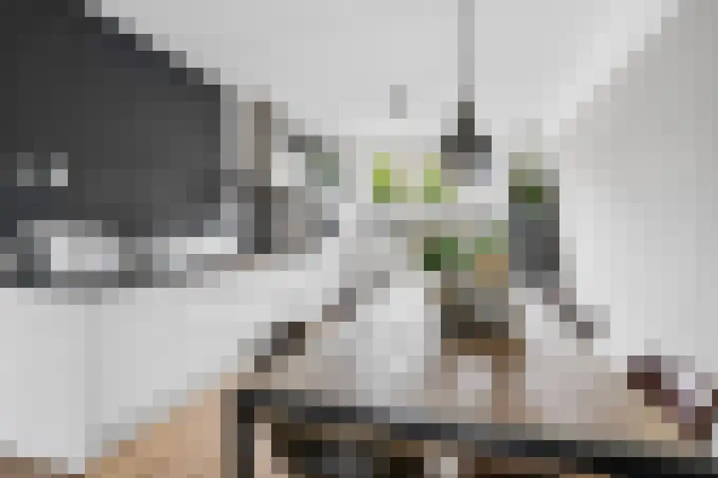 Avondlicht 25 Arnhem thumbnail 15