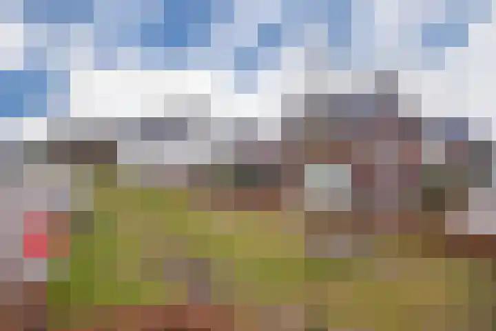 Avondlicht 7 Arnhem thumbnail 24