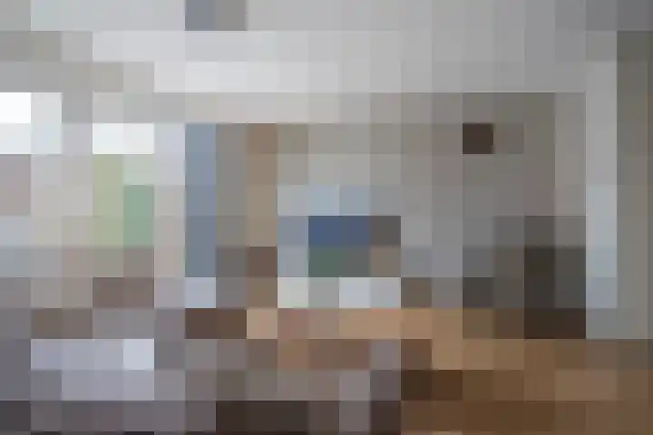 Avondlicht 7 Arnhem thumbnail 7