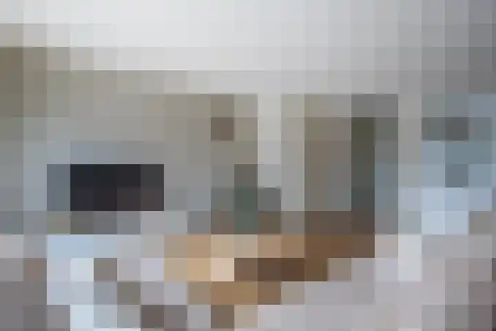 Avondlicht 7 Arnhem thumbnail 8