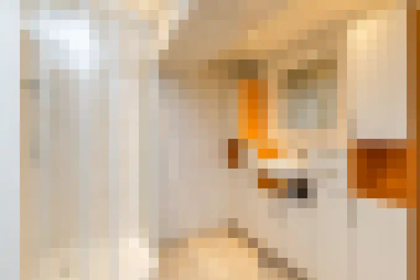 Avondpoelstraat 9 Valkenburg thumbnail 7