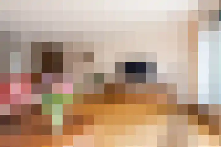 Avondrood 16 Krommenie thumbnail 12