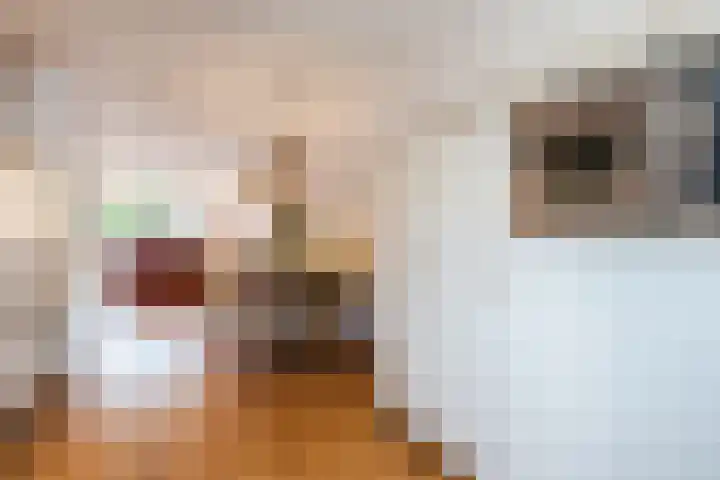 Avondrood 16 Krommenie thumbnail 13