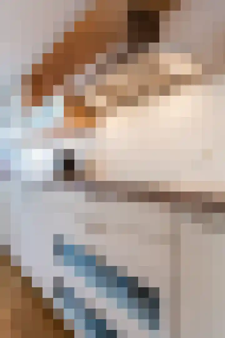 Avondrood 16 Krommenie thumbnail 14