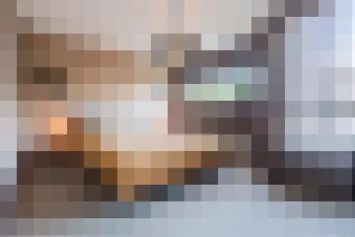 Avondrood 16 Krommenie thumbnail 16