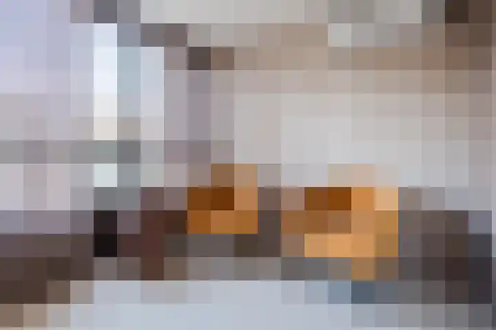 Avondrood 16 Krommenie thumbnail 18