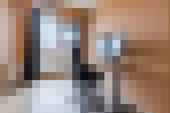 Avondrood 16 Krommenie thumbnail 28
