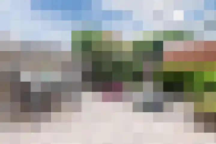 Avondrood 16 Krommenie thumbnail 34