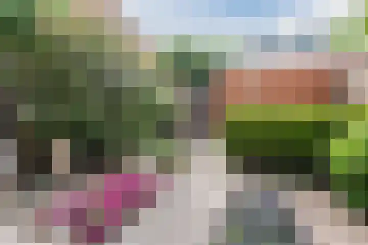 Avondrood 16 Krommenie thumbnail 35