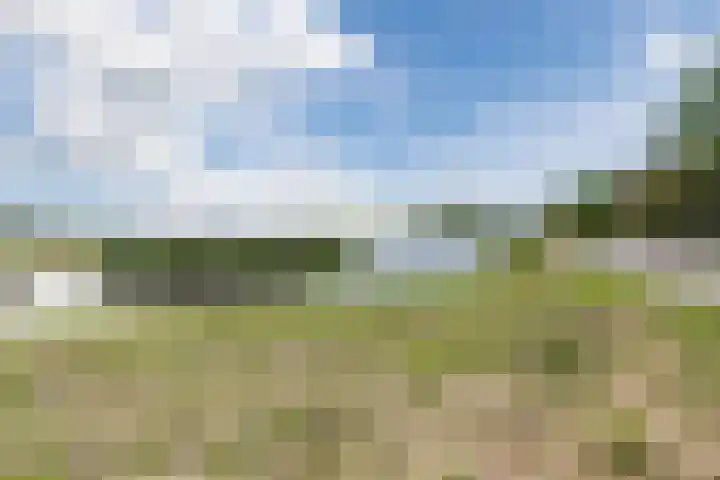 Avondrood 16 Krommenie thumbnail 43