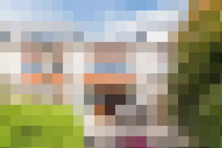 Avondrood 16 Krommenie thumbnail 5