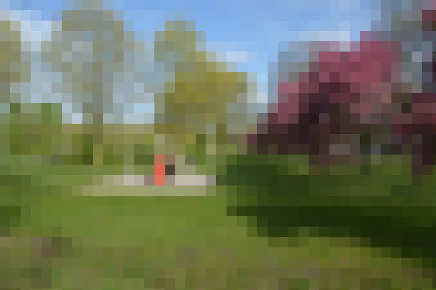 Avondrood 22 Deurne thumbnail 30