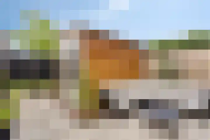 Avondrood 25 Someren thumbnail 26