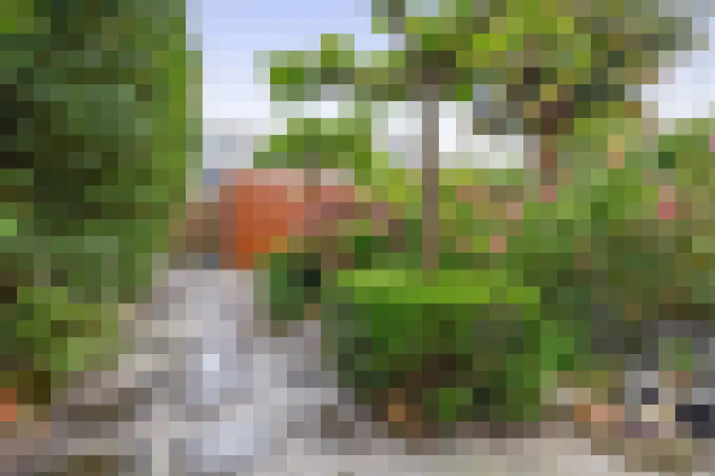 Avondrood 28 Krommenie thumbnail 38