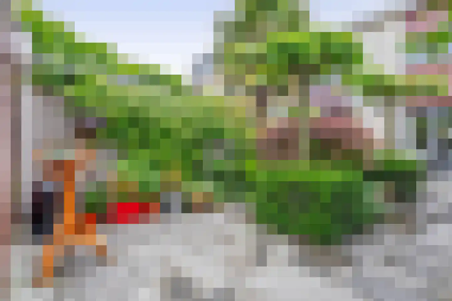 Avondrood 28 Krommenie thumbnail 39