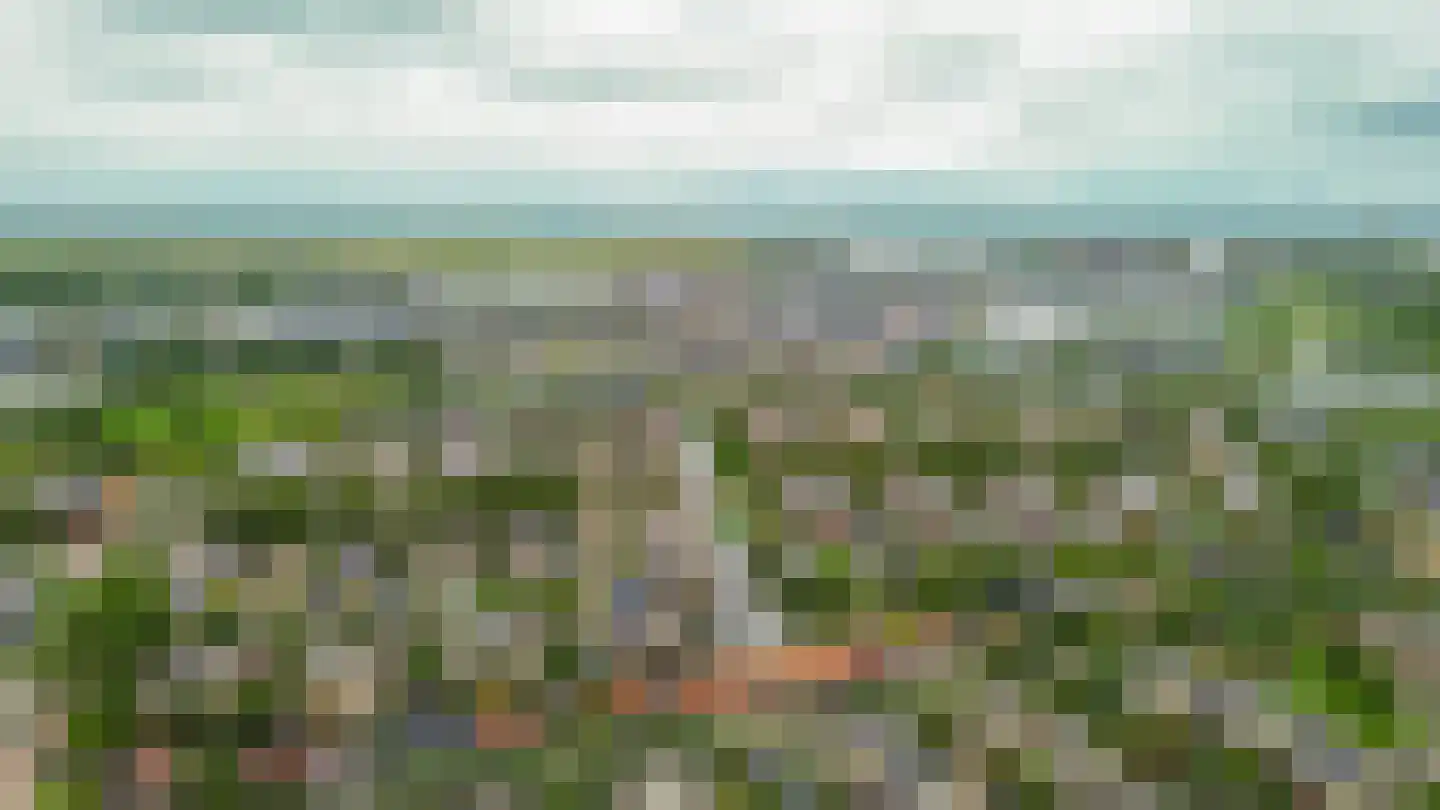 Avondrood 28 Krommenie thumbnail 44