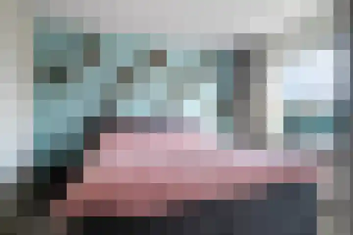Avondroodstraat 29 Eindhoven thumbnail 13