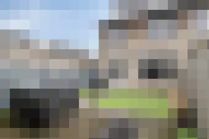 Avondroodstraat 29 Eindhoven thumbnail 27