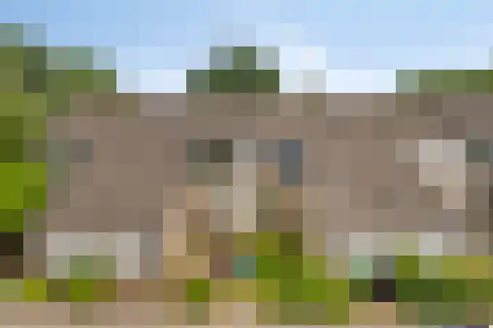 Avondroodstraat 36 Eindhoven thumbnail 32