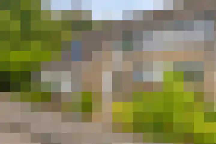 Avondroodstraat 36 Eindhoven thumbnail 41