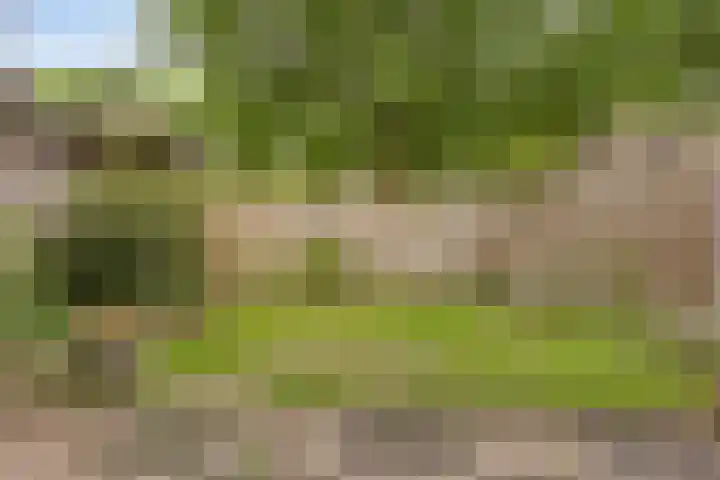 Avondroodstraat 36 Eindhoven thumbnail 5