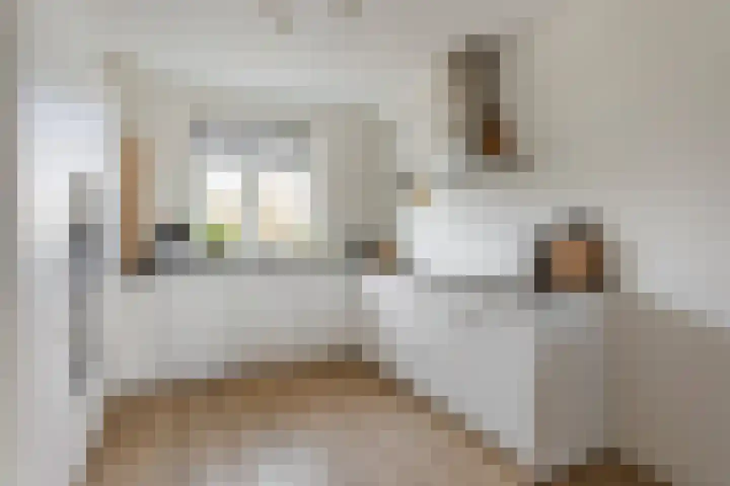 Avondroodvlinder 46 Borne thumbnail 11