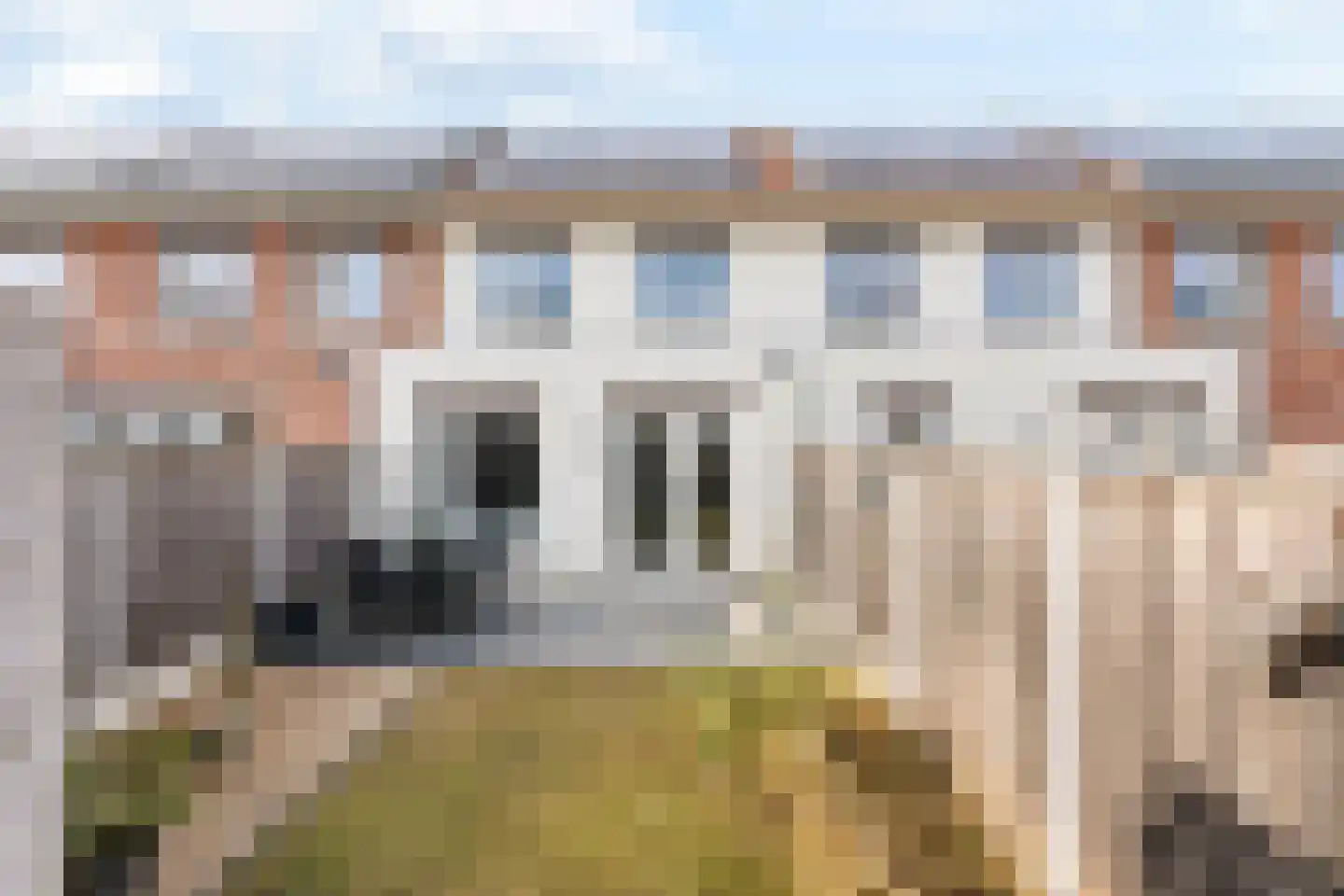 Avondroodvlinder 46 Borne thumbnail 19