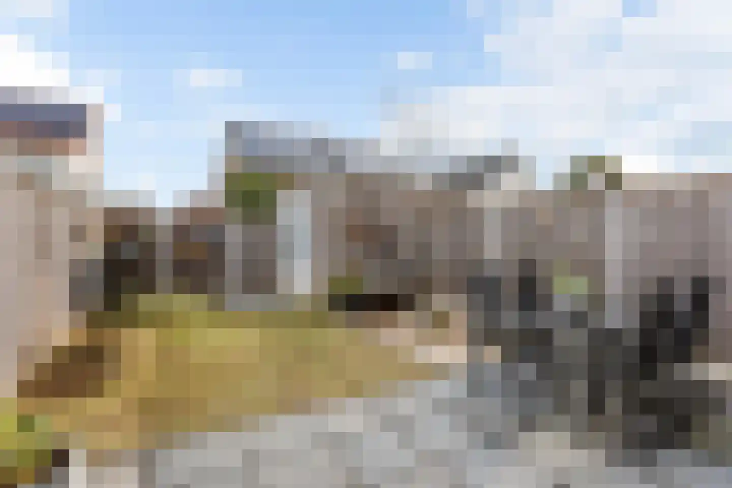 Avondroodvlinder 46 Borne thumbnail 20