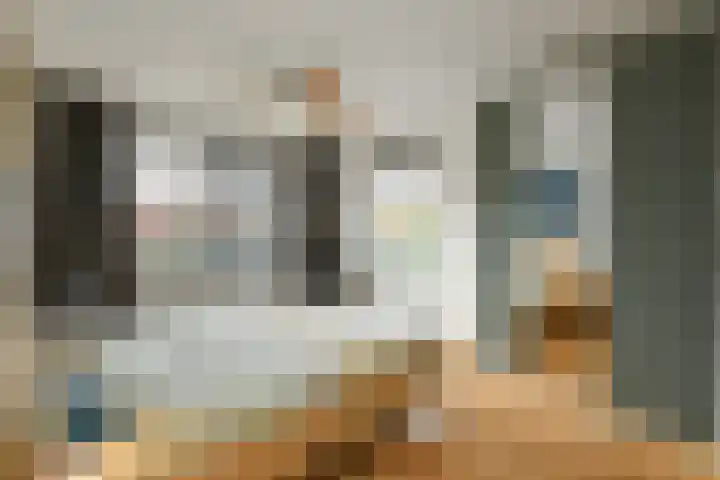 Avondster 30 Elst thumbnail 13