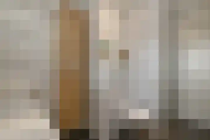 Avondster 30 Elst thumbnail 20