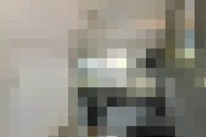 Avondster 30 Elst thumbnail 26