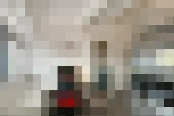Avondster 30 Elst thumbnail 28