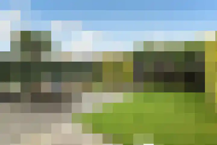 Avondster 30 Elst thumbnail 29