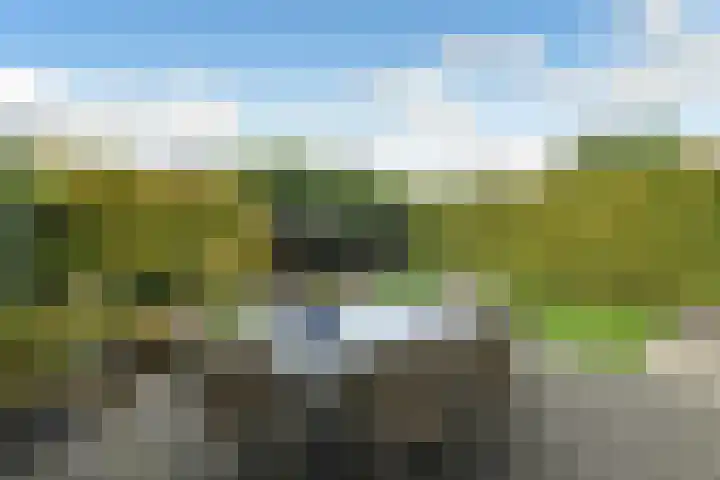 Avondster 30 Elst thumbnail 30