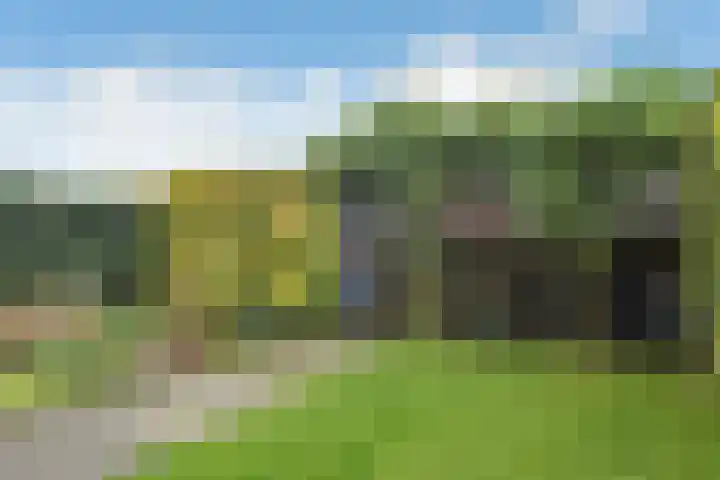 Avondster 30 Elst thumbnail 34