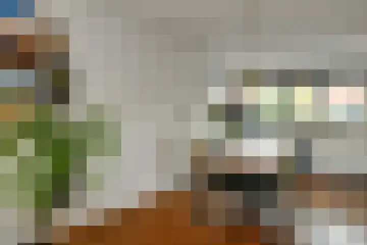Avondster 30 Elst thumbnail 5