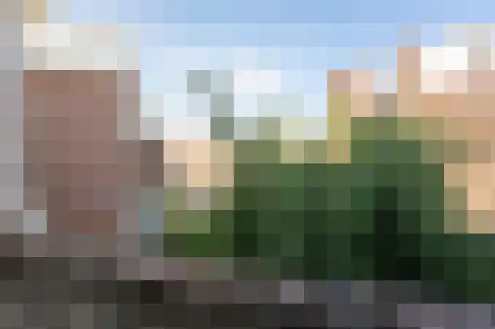 Avondster 32 Elst thumbnail 16