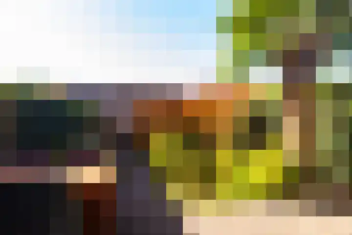 Avondster 32 Elst thumbnail 17
