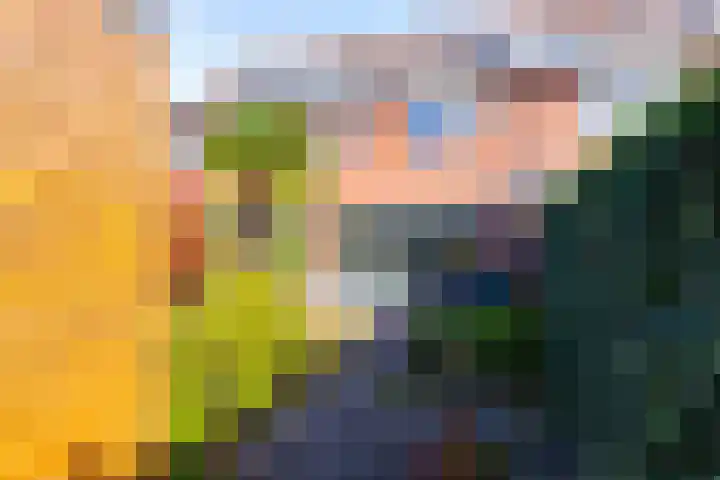 Avondster 32 Elst thumbnail 19